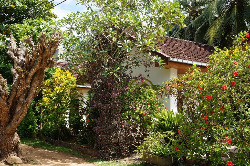 Tandem Guesthouse Hikkaduwa Luaran gambar