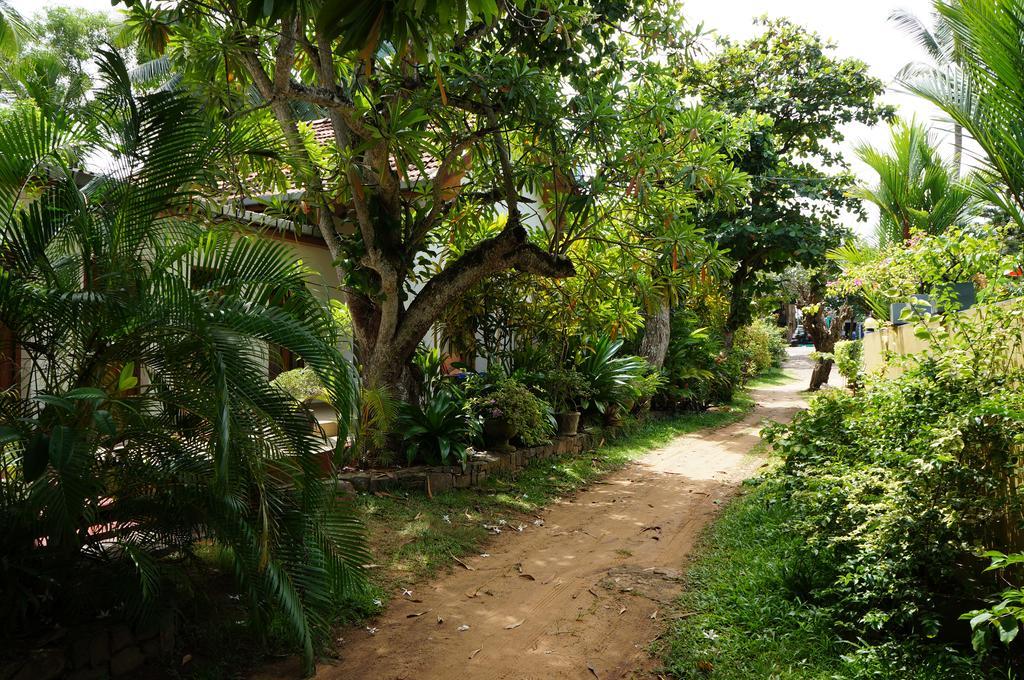 Tandem Guesthouse Hikkaduwa Luaran gambar