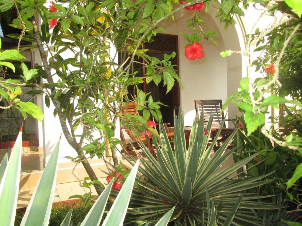 Tandem Guesthouse Hikkaduwa Luaran gambar