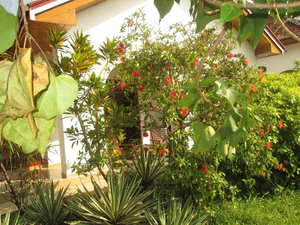 Tandem Guesthouse Hikkaduwa Luaran gambar